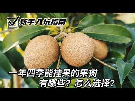 北部適合種的水果|北部可以種哪些水果？砂糖橘、熱帶水果、藍莓、百香果都是好選。